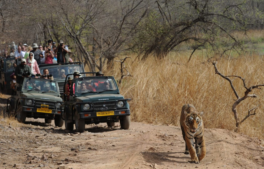 Ranthambore